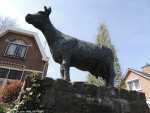 Koe | Jan Kip & Antoinette Ruiter